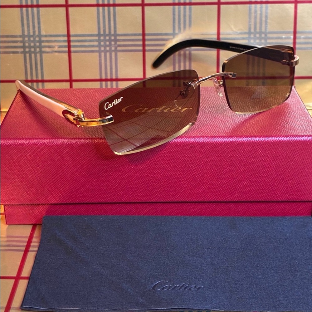Cartier Unisex Buffalo Horn Sunglasses